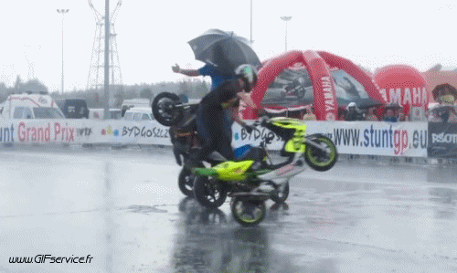 Freestyle Fun Win Moto Trasporti Umorismo -  Fun 