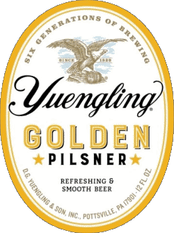 Yuengling USA Beers Drinks 