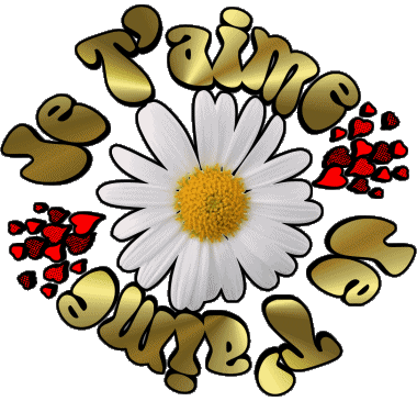 05 Je T'aime Französisch Nachrichten 