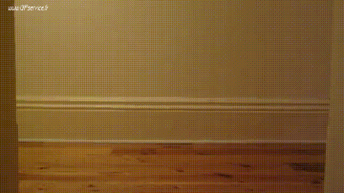 03 Gatos Animales Humor - Fun 