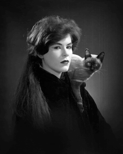 Bill Domonkos GIF Artists Humor -  Fun 