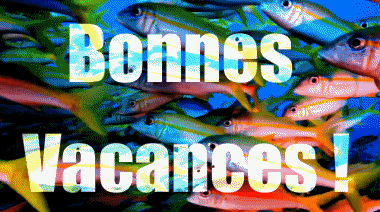 001 Animierter Hintergrund Bonnes Vacances Französisch Nachrichten 