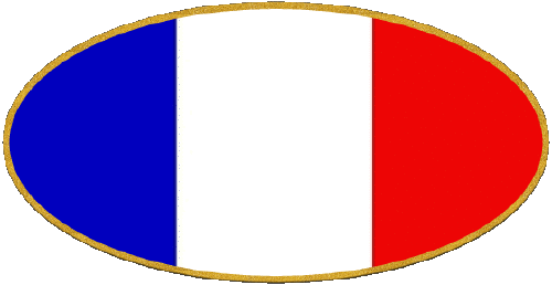 Oval National France Flags 