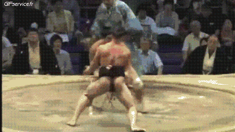 Sumo Deportes Humor - Fun 