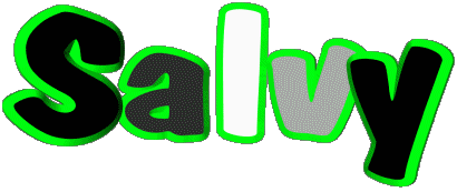 Salvy S MASCULINE - France First Names 