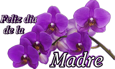 05 Feliz día de la madre Spanisch Nachrichten 