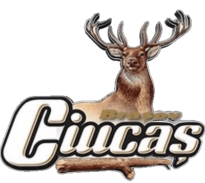 Ciucas Romania Beers Drinks 