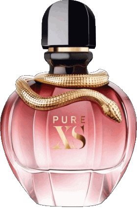 Paco Rabanne Couture - Parfum Mode 