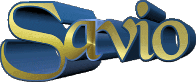 Savio S MASCULIN - France Prénoms 