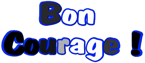 04 Bon Courage Französisch Nachrichten 