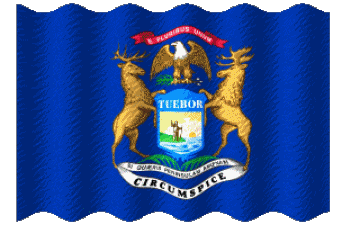 Ondulation Michigan U.S.A - Etats Amériques Drapeaux 
