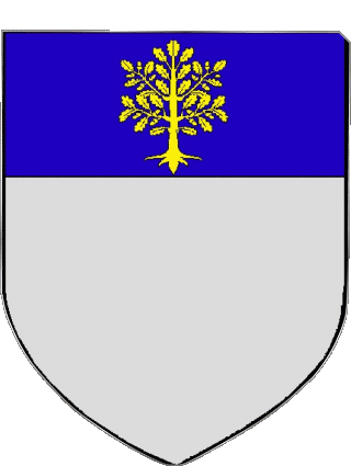 Blasone-Blasone SENAS 13 Dipartimenti - Città Francia Bandiere 