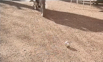 Les Fous du Stade - Vidéo Les Charlots Filme Frankreich Multimedia 