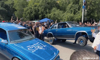 Lowriding Cars Transport Humor -  Fun 