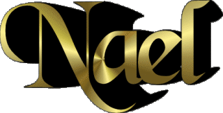 Nael N MASCULIN - Maghreb Musulman Prénoms 