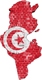 Carte Tunisie Afrique Drapeaux 
