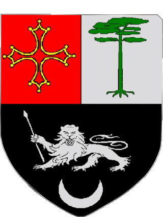 Blason-Blason RAMONVILLE SAINT AGNE 31 Départements - Villes France Drapeaux 
