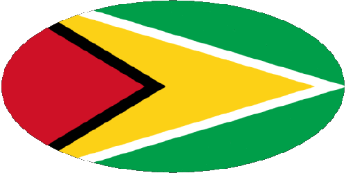 Oval Guyana Amerika Fahnen 