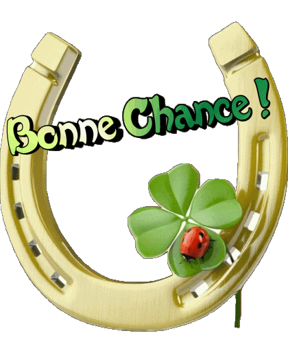 08 Transparent Background Bonne Chance French Messages 