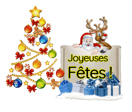 Serie 23 Joyeuses Fêtes (Noël) French Messages 