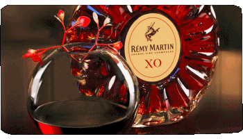 Remy Martin Cognac Getränke 