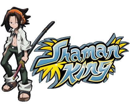 Shaman King Manga Multimedia 