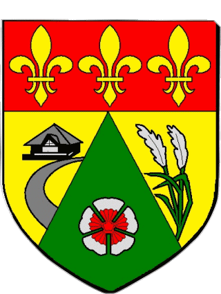 Blazon-Blazon TROIS BASSINS 974 Departments - Cities France Flags 