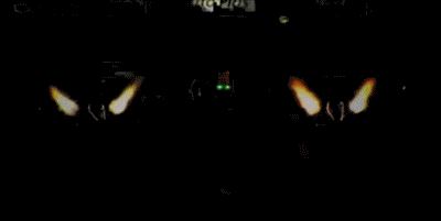 Dragsters Autos Transport Humor -  Fun 