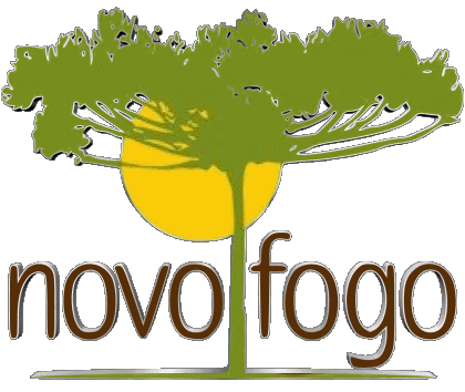 Novo Fogo Cachaca Bebidas 