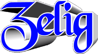 Zelig Z MASCULIN - UK - USA Prénoms 