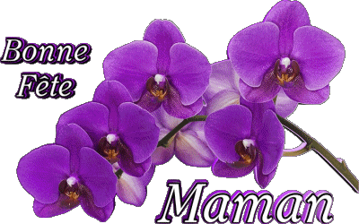 05 Bonne Fête Maman Messages -  French First Name - Messages 