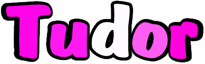 Tudor T MANN - UK - USA - IRL - AUS - NZ Vorname 