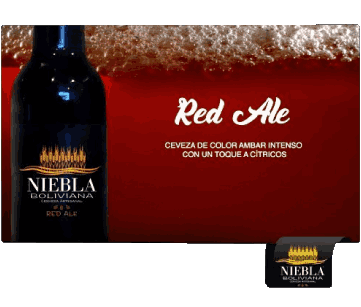 Niebla Bolivia Birre Bevande 
