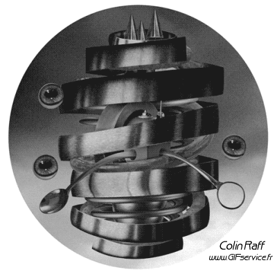 Colin Raff GIF Artista Umorismo -  Fun 