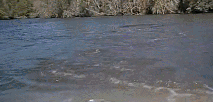 Video Moonraker James Bond 007 Cinéma International Multi Média 