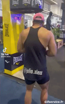 Fun Win Boxe Sports Humor -  Fun 