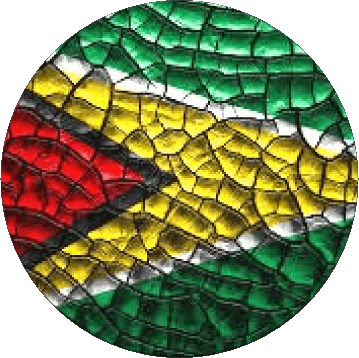 Runde Guyana Amerika Fahnen 