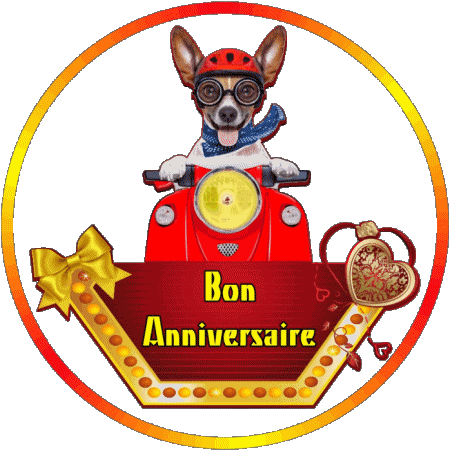 010 Animaux Bon Anniversaire Französisch Nachrichten 