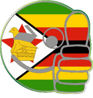 Faccina - OK Zimbabwe Africa Bandiere 