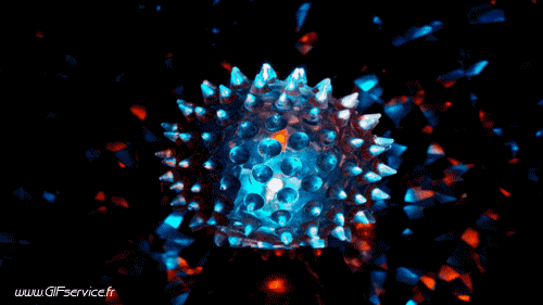 Stéreoscopique Wiggle 3d Effekte Humor -  Fun 