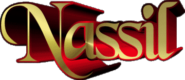 Nassil N MANN - Maghreb Muslim Vorname 