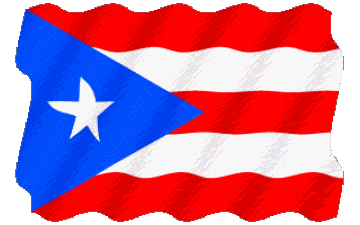Waving Puerto Rico America Flags 