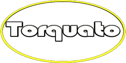 Torquato T MANN - Italien Vorname 