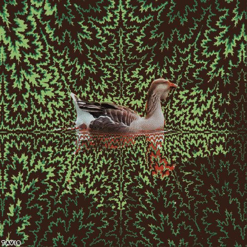 Bill Tavis GIF Artista Humor - Fun 