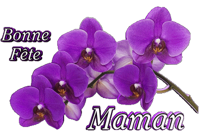 05 Bonne Fête Maman Francés Mensajes 