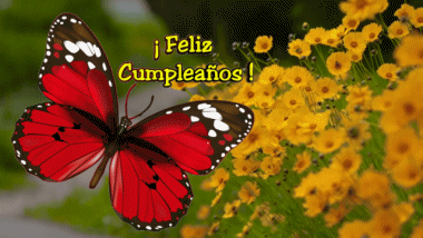 004 Fond Animé Mariposas Feliz Cumpleaños Espagnol Messages 