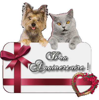 005 Animaux Bon Anniversaire French Messages 