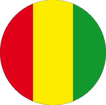 Round Guinea Africa Flags 