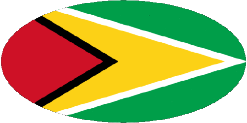 Ovale Guyana Amériques Drapeaux 