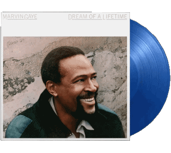 Dream of a Lifetime-Dream of a Lifetime Discographie Marvin Gaye Funk & Soul Musique Multi Média 